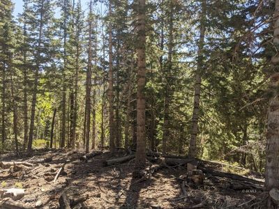 26 Bonnie Grn, Duck Creek Village, UT, 84762