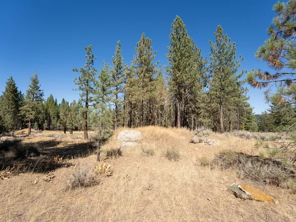 215 Cougar Way, Portola, CA 96122