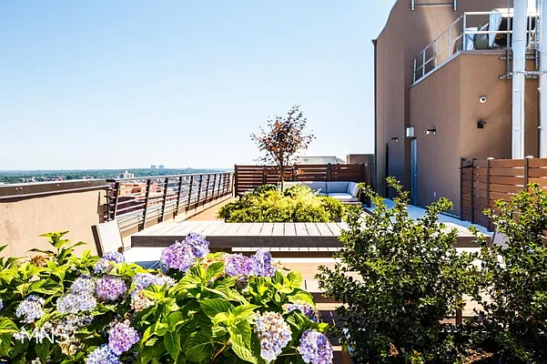 Rented by MNS Marketing | media 31