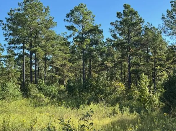 0 An County Rd #1232, Palestine, TX 75801