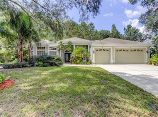 4828 Kylemore Ct, Palm Harbor, FL 34685