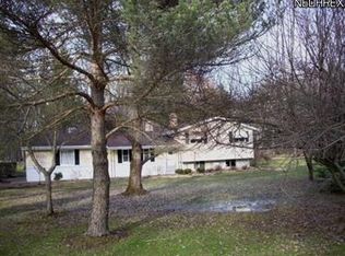 12971 Opalocka Dr, Chesterland, OH 44026