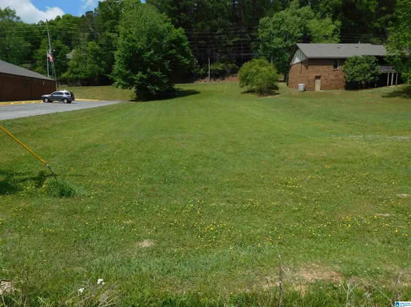 0 Us Highway 11 #1, Springville, AL 35146
