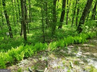 LOT Five Rebel Cir, Dillard, GA 30537