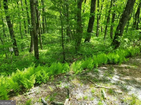 LOT Five Rebel Cir, Dillard, GA 30537