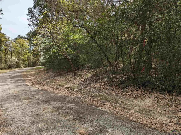 Whipporwill Lane Lot 202 Section 2 Holly Lake Rnch, Hawkins, TX 75765