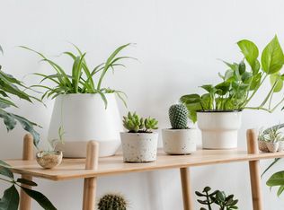 Regency at 2663, Augusta, GA 30906