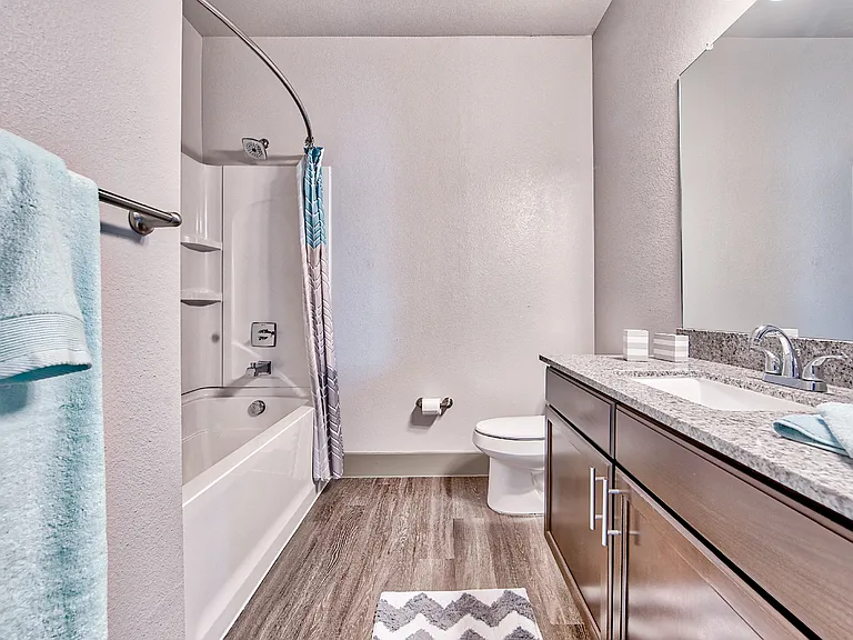 Wood Style Flooring in Baths