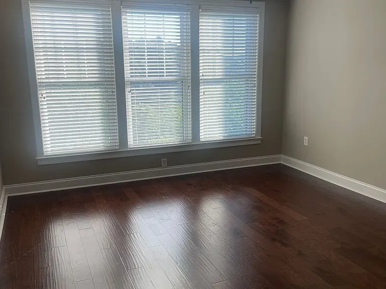 334 Centennial Bluff Blvd — Photo 10