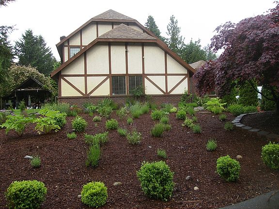 Enjoy the beautiful Lavender & Herb Gardens