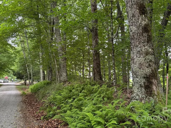 530 El Miner Dr, Mars Hill, NC 28754