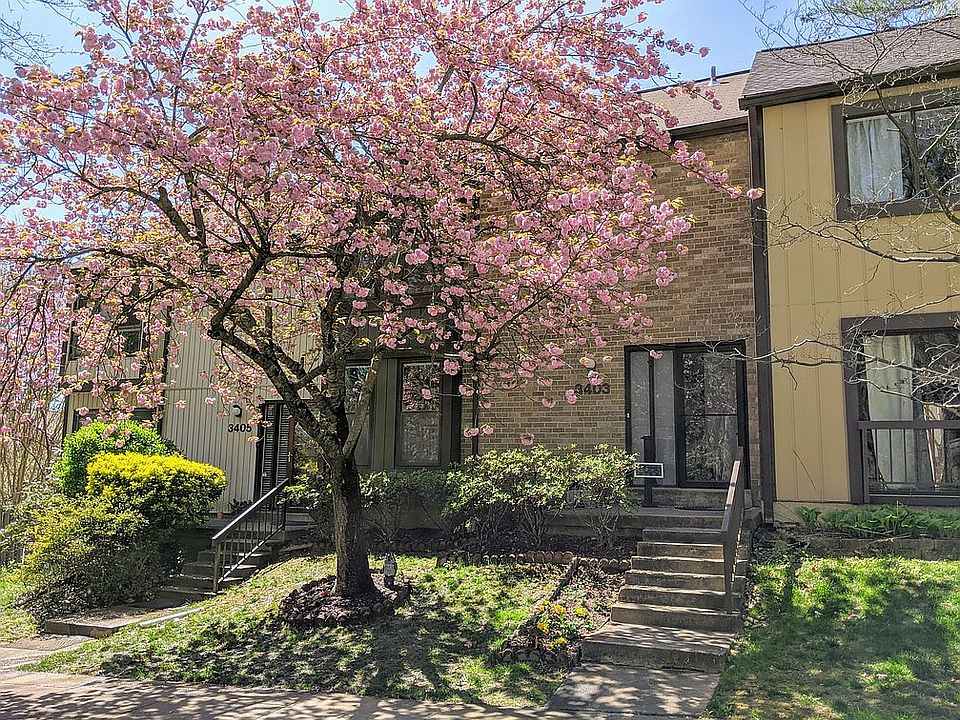 Front of the house 
