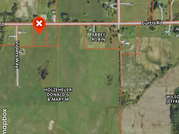 Curtis Rd, Hale, MI 48739