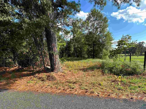 Tbd Peter Bonner Rd, Hallsville, TX 75650