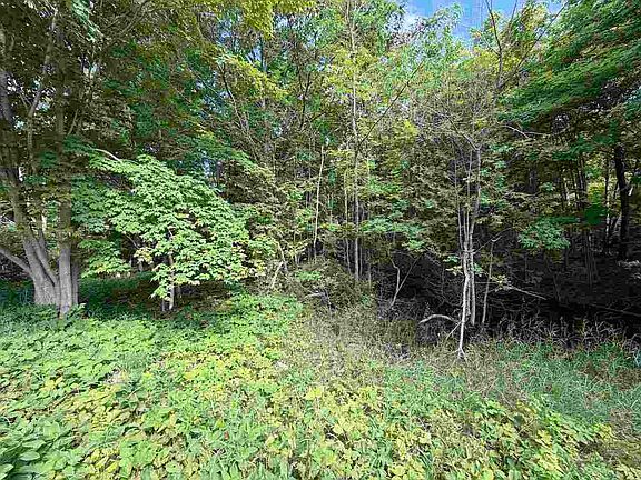 2nd image of 37690 Allens Lakeview Rd