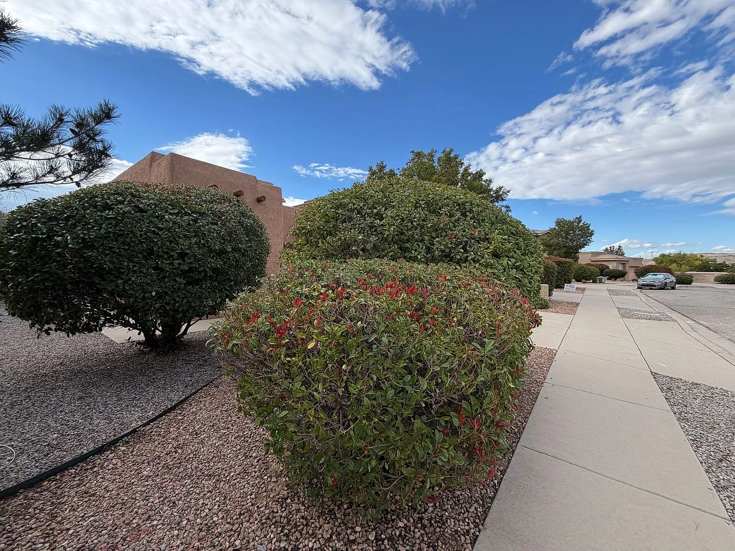 3 Bedroom Single Story Home Available Near High Resort Blvd & Broadmoor Blvd in Rio Rancho! — Photo 2