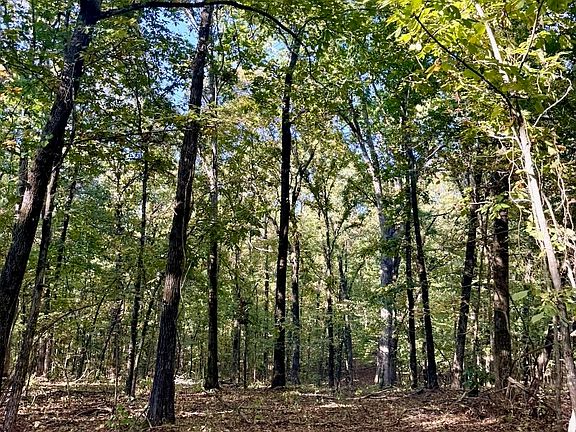 5th image of 0 W Fork Rd