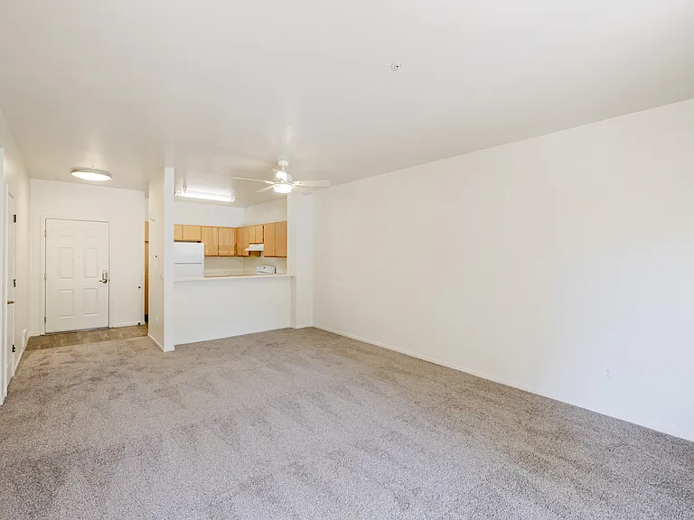 Open, modern layouts.