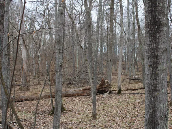 Saint Moritz Blvd, Pequot Lakes, MN 56472