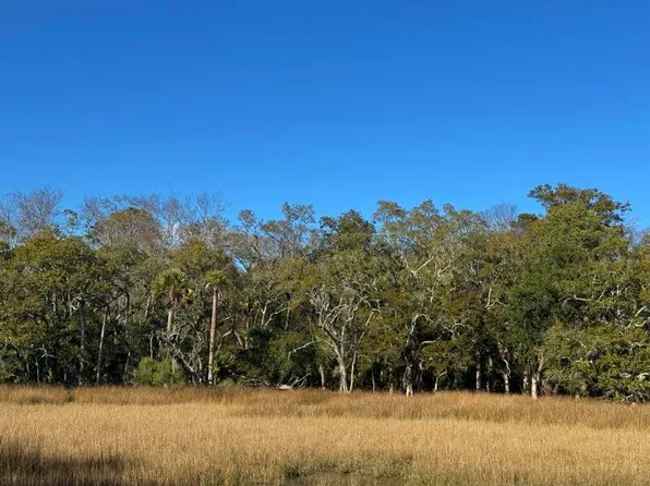 8785 Palmetto Rd, Edisto Island, SC 29438