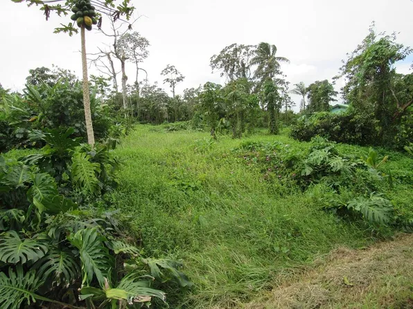 15-2742 Papai St Lot 8, Pahoa, HI 96778