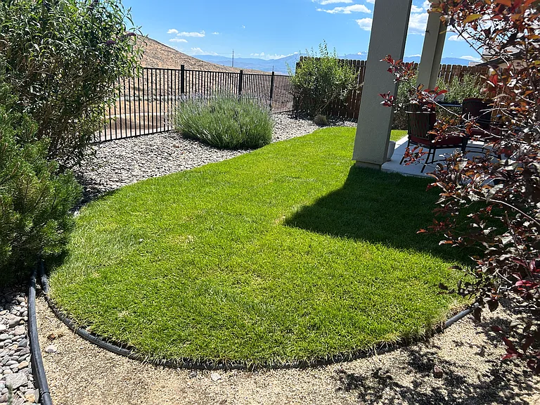 3286 Vincinato Dr — Photo 12