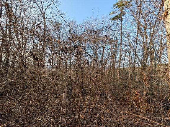 3rd image of 0 Pine Breeze Cir