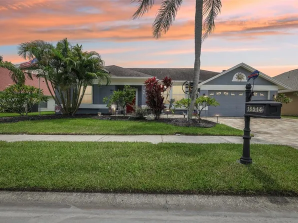 18514 Avocet Dr, Lutz, FL 33558