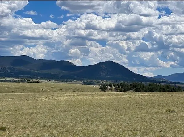 1593 Yellowstone Road, Hartsel, CO 80449