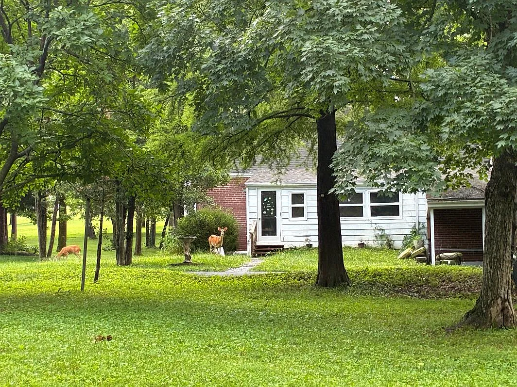 3 bed, 2008 sqft, $2,575 — Photo 4