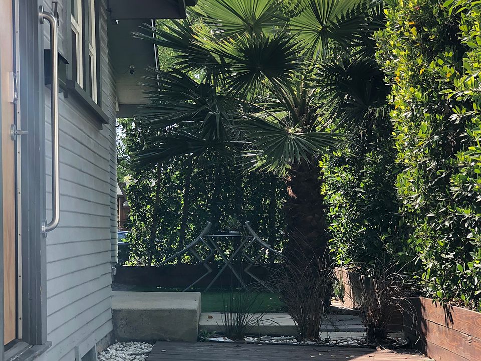 second patio area with ficus fencing