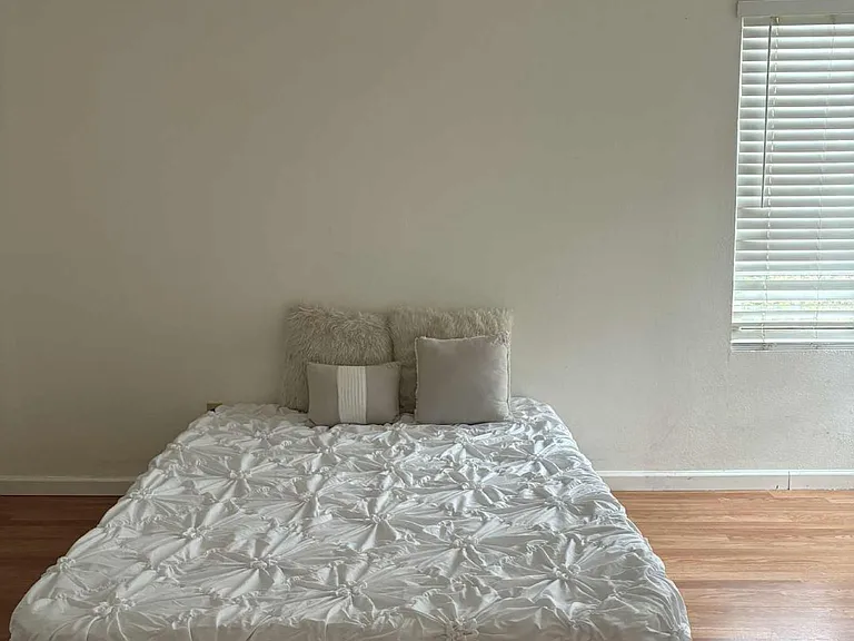 1333 N Camino Alto Rd #172 — Photo 4
