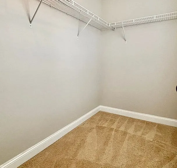 239 Fountain Grove Dr — Photo 40