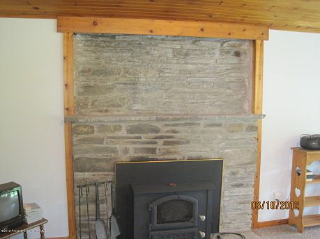 Wood/Coal Insert with Fans