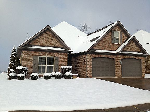 Snow on the mountain