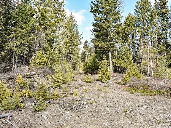 4th image of 1A Meadow Springs Rd