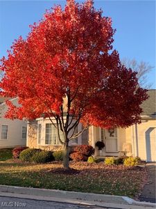 7521 Hillbrook Oval, Brecksville, OH, 44141