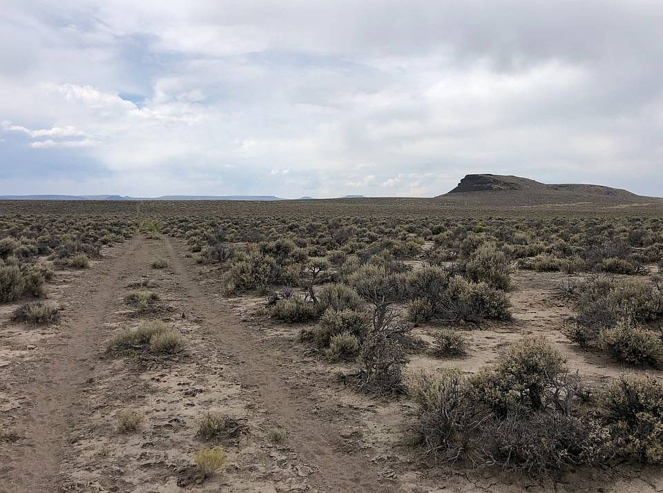 Apn 66 26065, Gerlach, NV 89412 MLS 11086965 Zillow