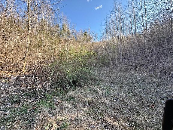 5th image of 4741 Big Creek Rd