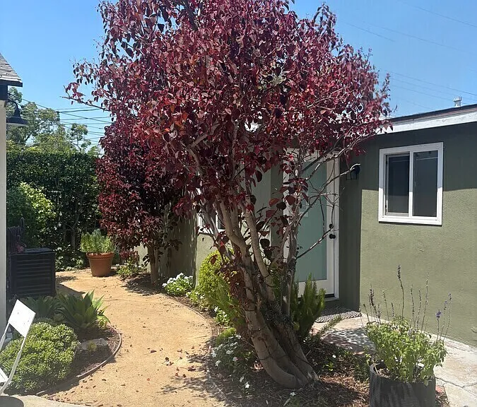 3117 Silver Lake Blvd — Photo 36