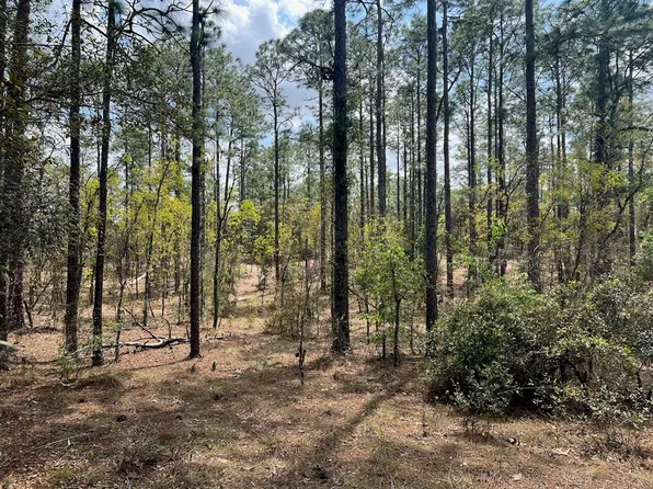 SE 10th St, Williston, FL 32696