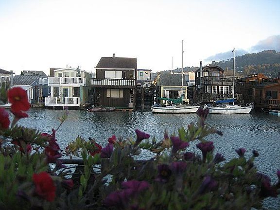 View from Deck