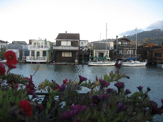 View from Deck