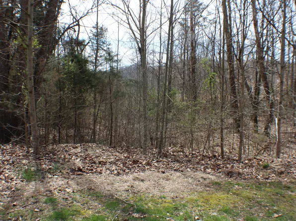 1038 Wildwood Trl, Church Hill, TN 37642