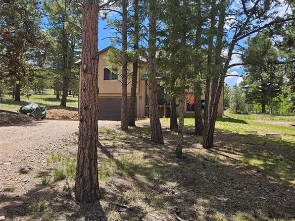24 Big Horn Cir, Florissant, CO 80816