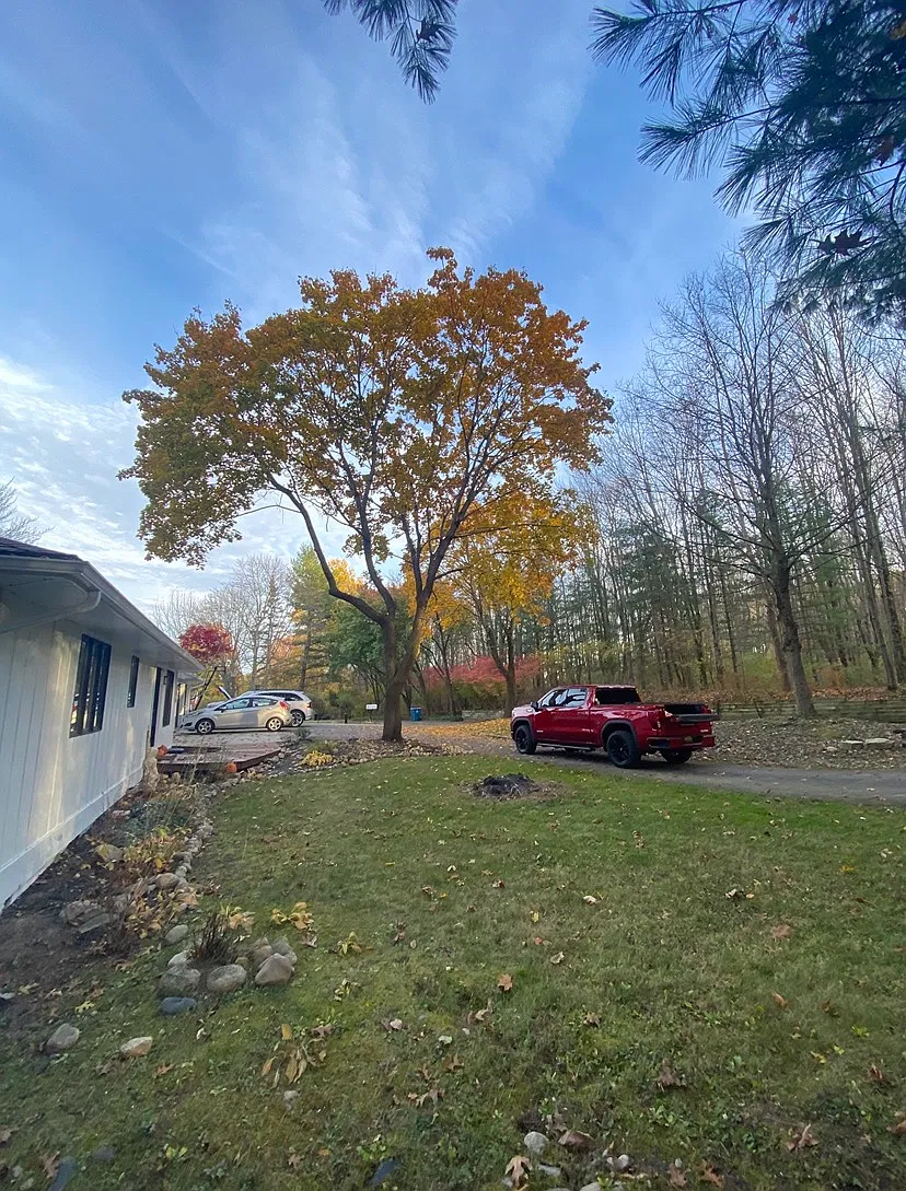 4 bed, $2,500 — Photo 2