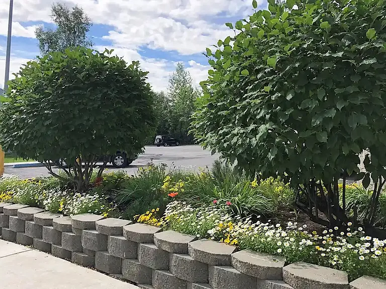 Chester Creek Estates — Photo 15