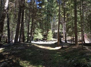 20 Highway E, Republic, WA 99166