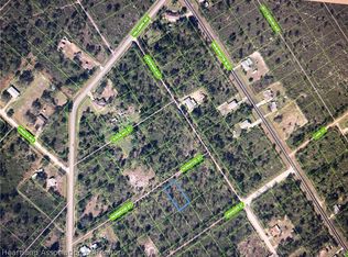 1015 Norwood St, Lake Placid, FL 33852