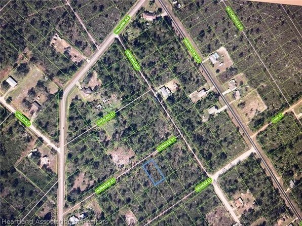 1015 Norwood St, Lake Placid, FL 33852